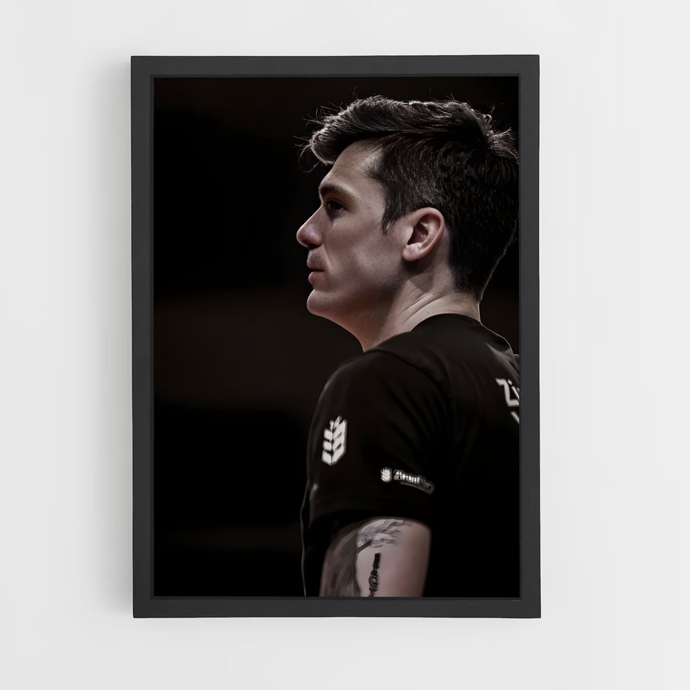 Poster Matt anderson – affiche Volleyball (vue 2)